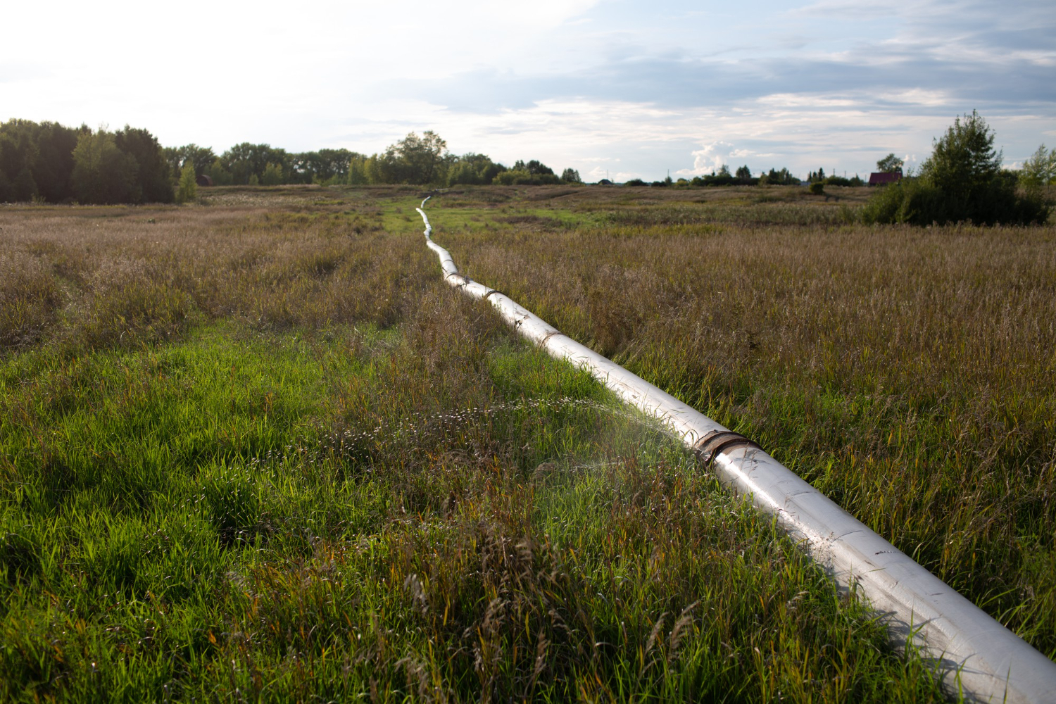 Water Line Replacement in Lakewood, WA